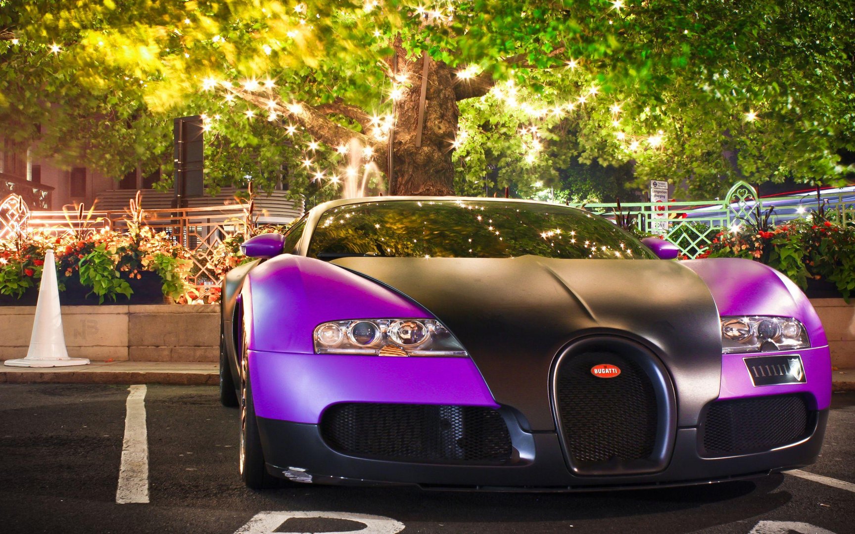 Purple Car Background.jpg