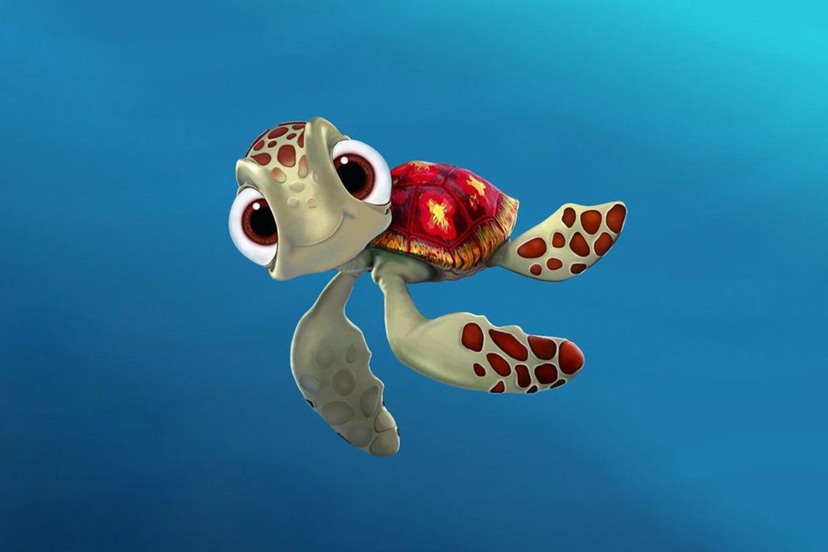 Cute Turtle Wallpaper.jpg
