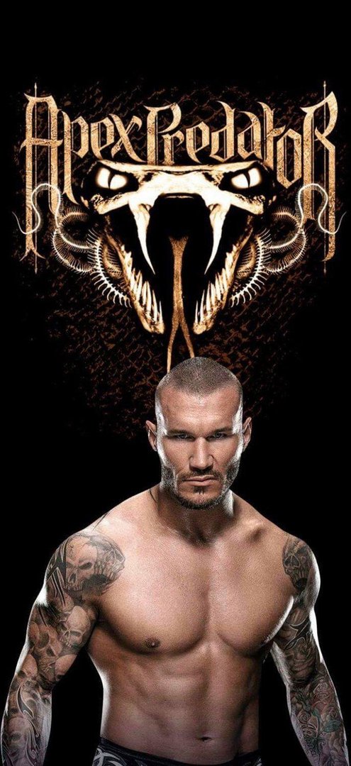 Randy Orton Wallpaper.jpg