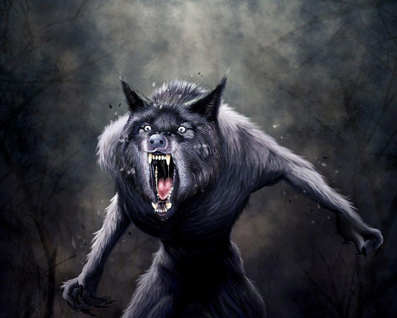 Scary Wolf Wallpapers.jpg