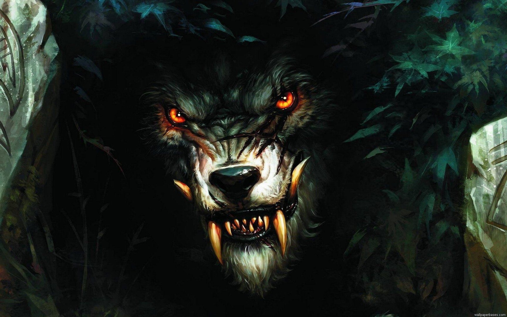 Scary Wolf Pictures.jpg