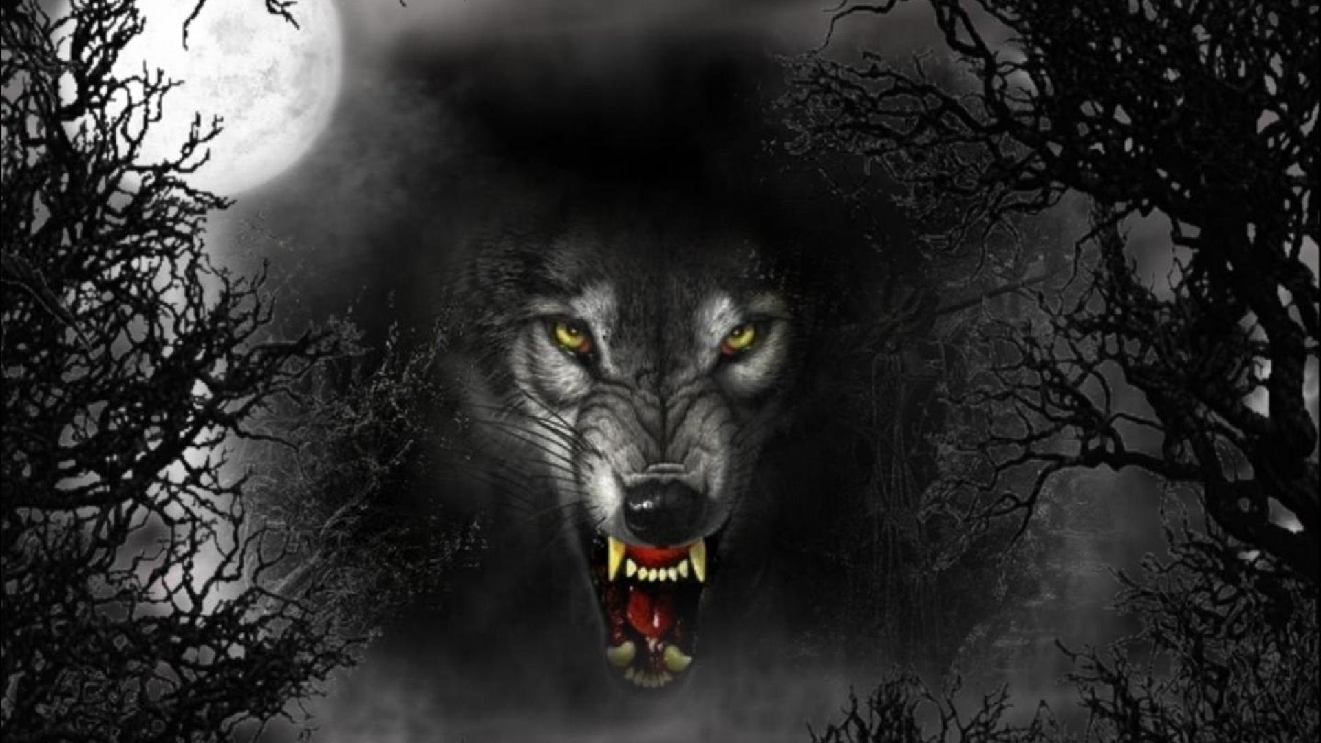 Scary Wolf Wallpaper.jpg