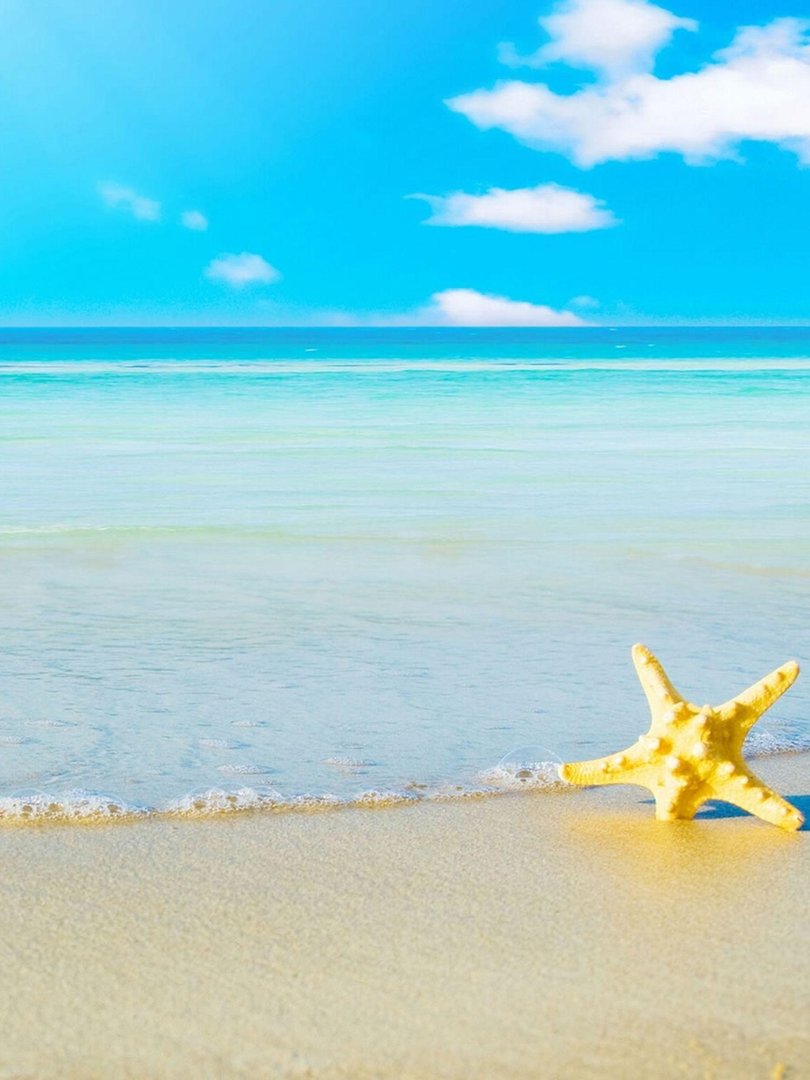 Summer iPad Wallpapers.jpg