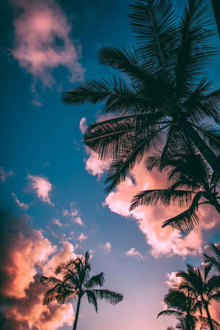 Summer iPad Wallpaper.jpg