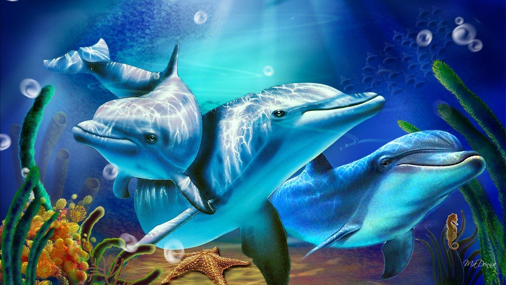 Cool Dolphin Wallpaper.jpg
