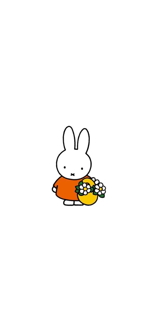 Miffy Wallpapers.jpg