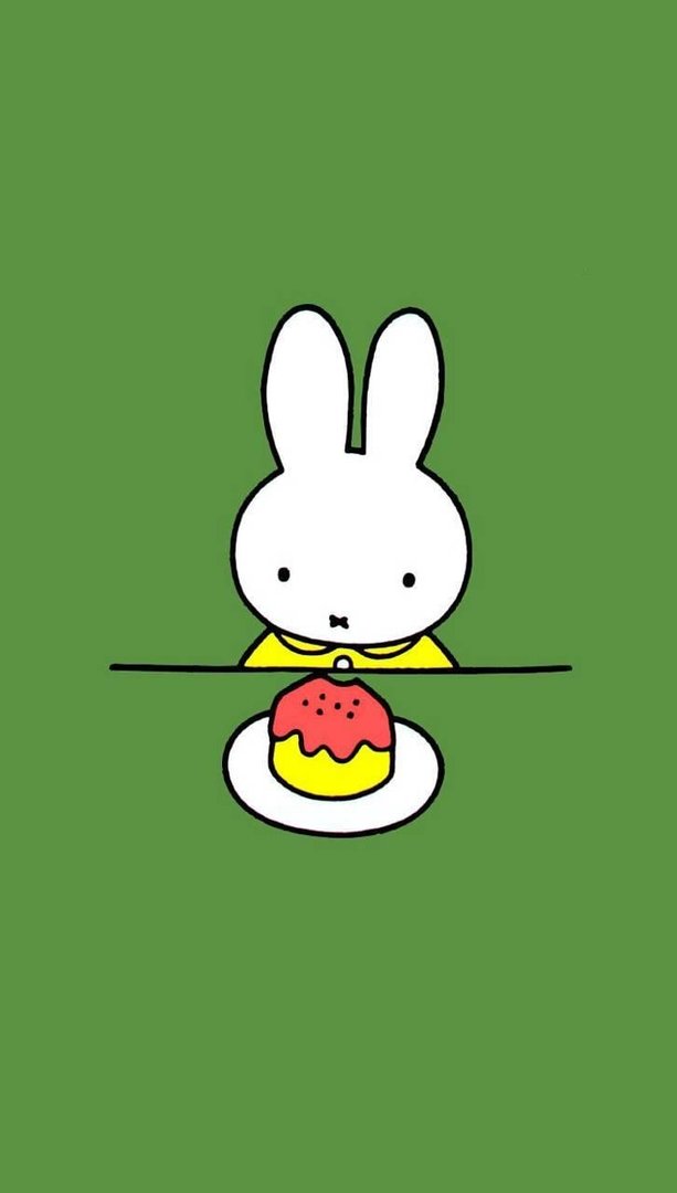 Miffy Pictures.jpg
