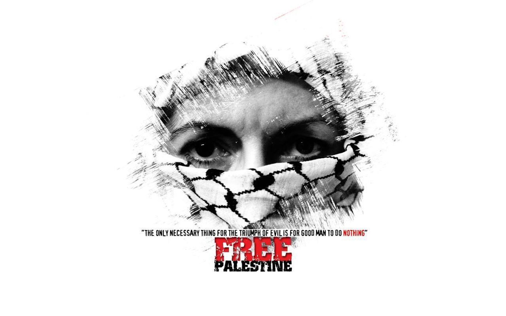 Palestine Pictures.jpg