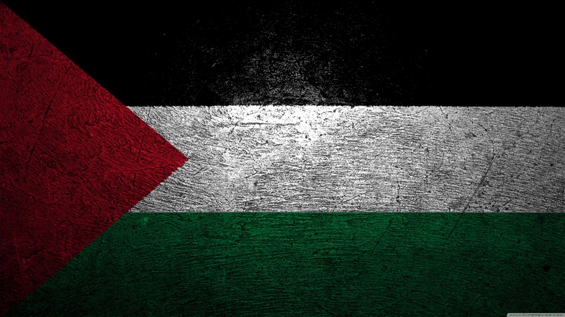 Palestine Background.jpg
