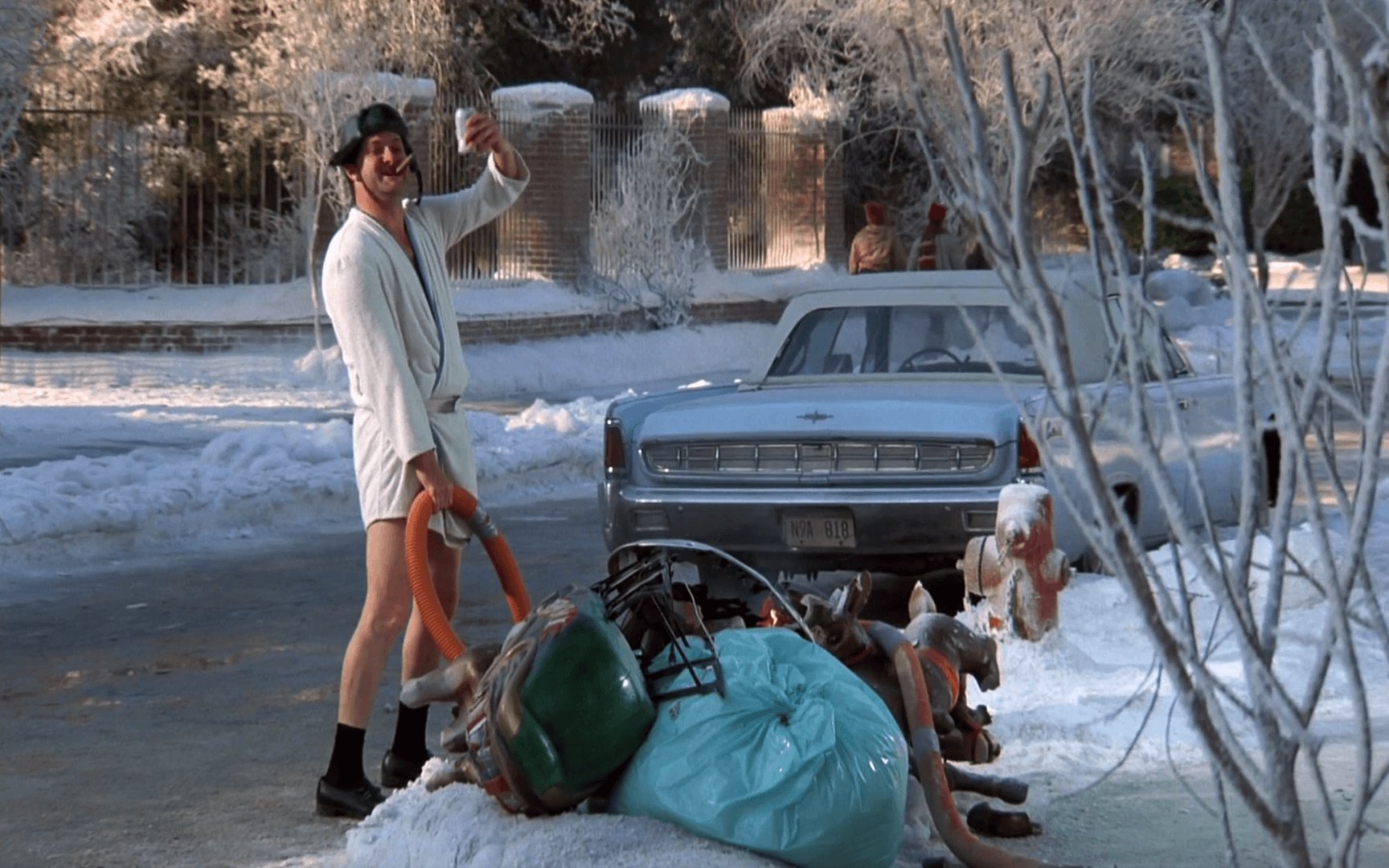 Christmas Vacation Pictures.png