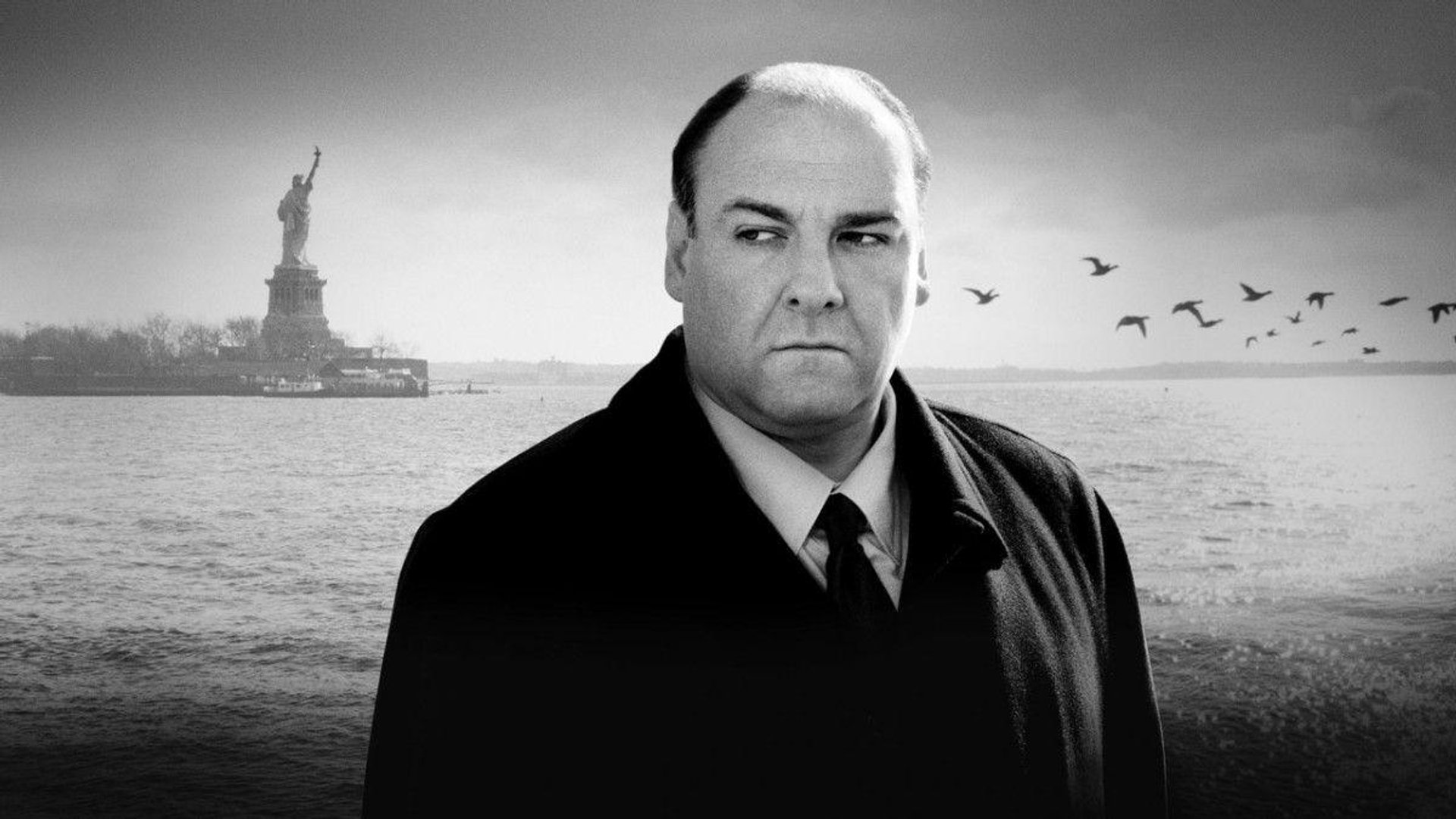 Tony Soprano Background.jpg