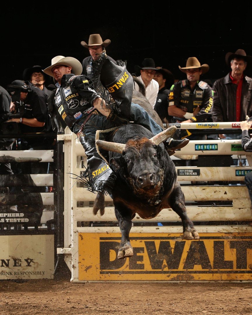 Bull Riding Wallpapers.jpg