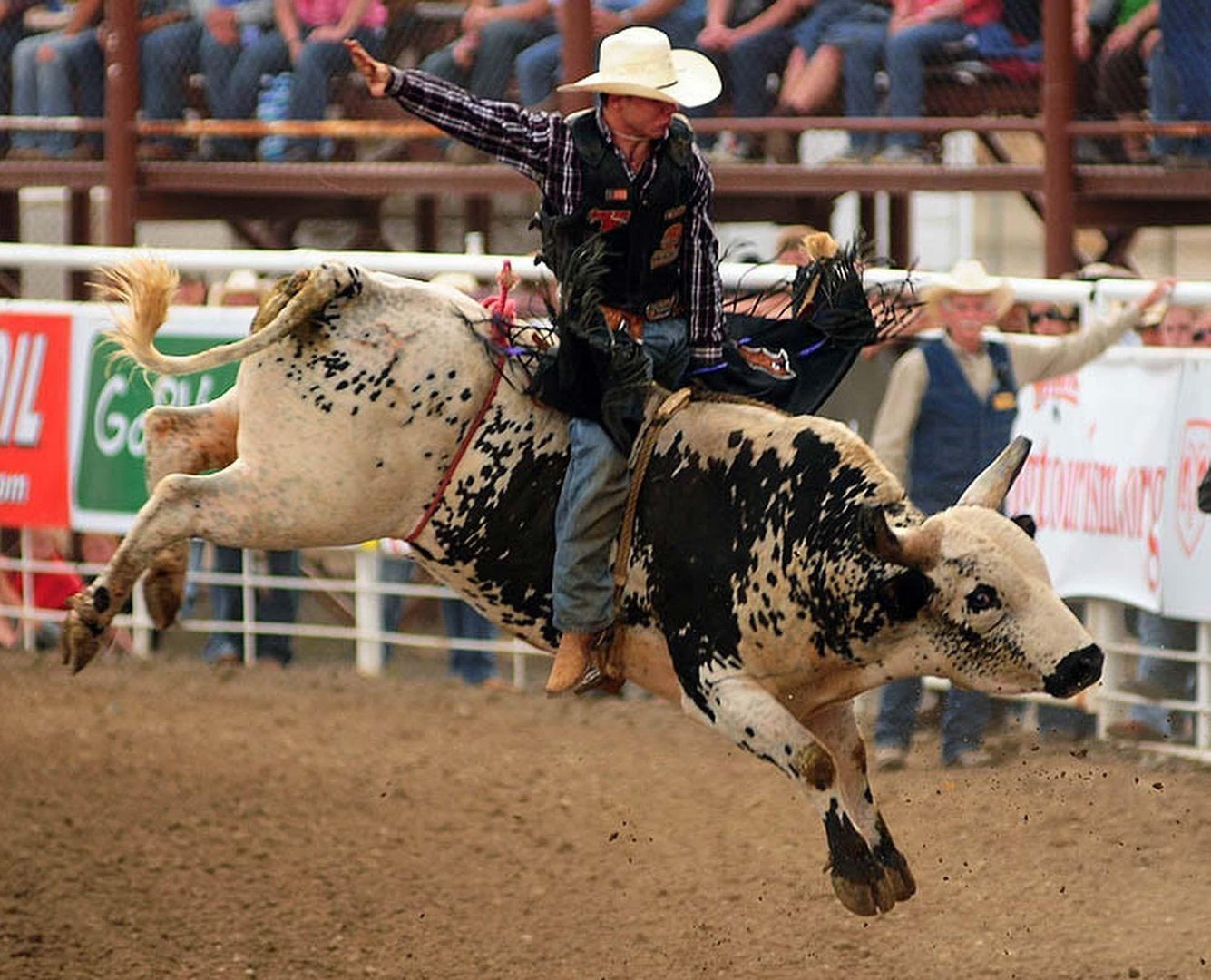 Bull Riding Images.jpg