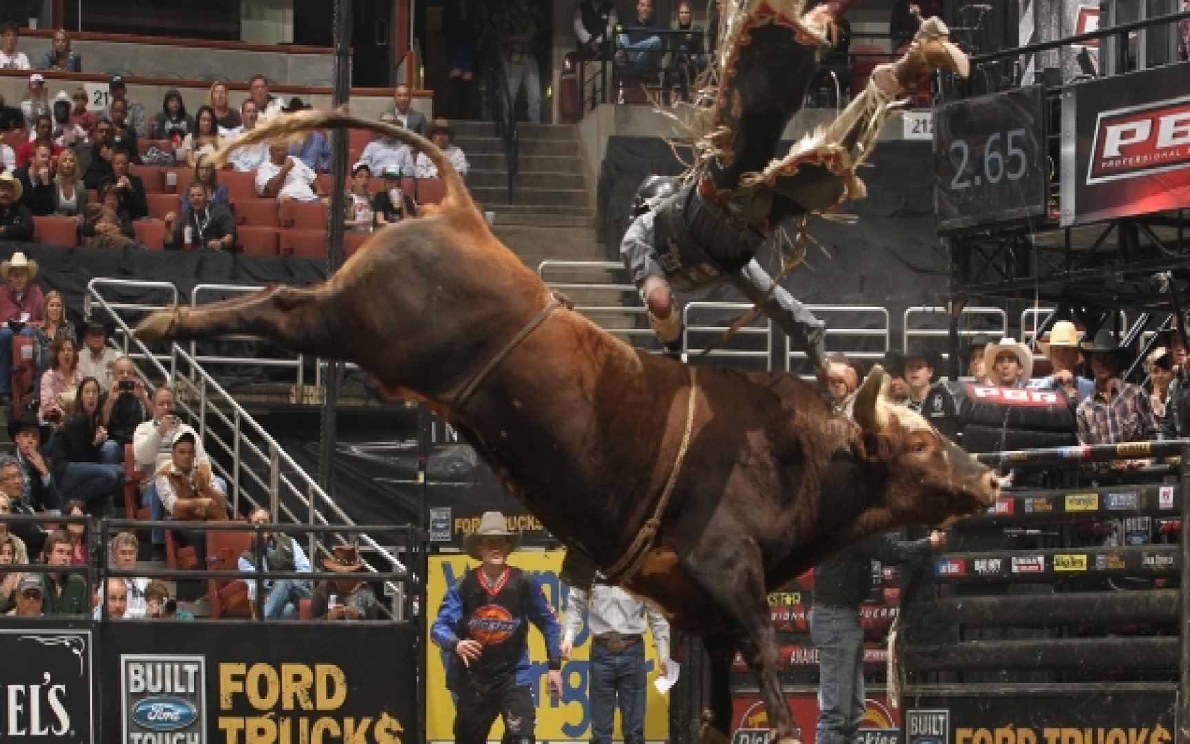 Bull Riding Pictures.jpg