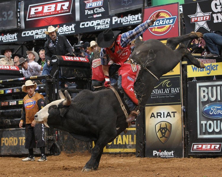 Bull Riding