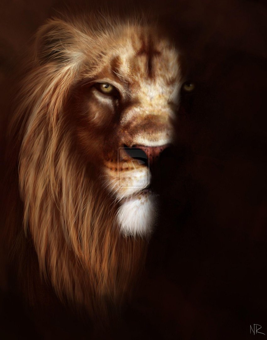Angry Lion Wallpapers.jpg