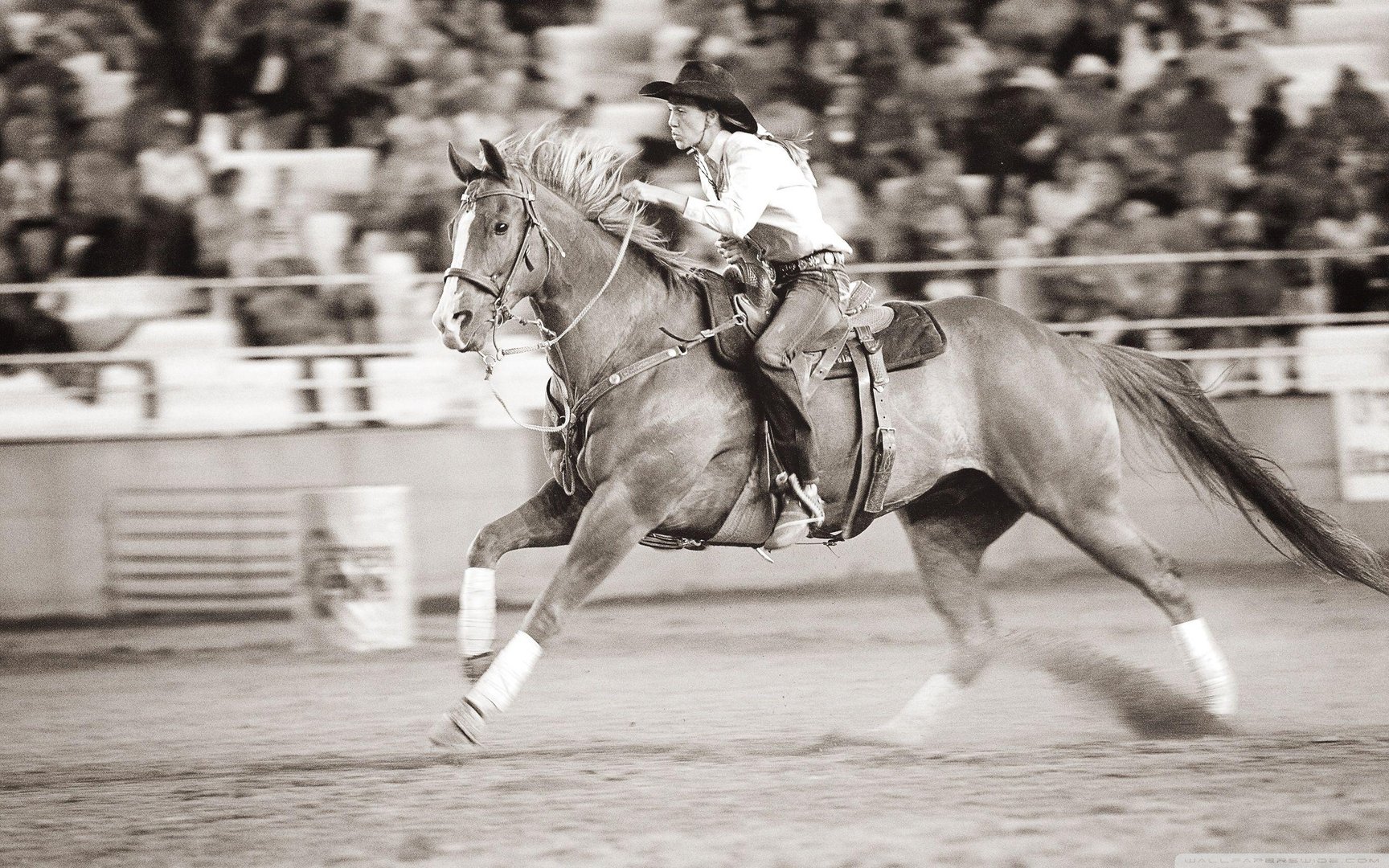 Barrel Racing Images.jpg