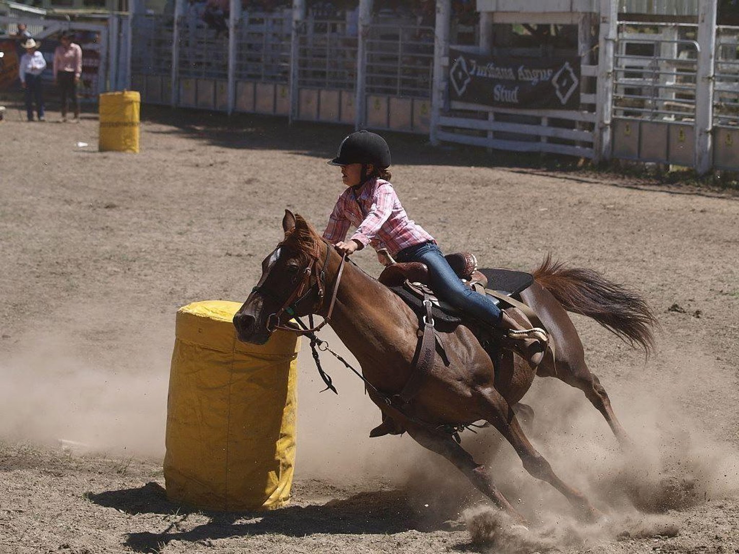 Barrel Racing Background.jpg
