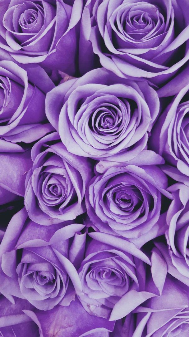 Aesthetic Purple Flower Wallpaper.jpg