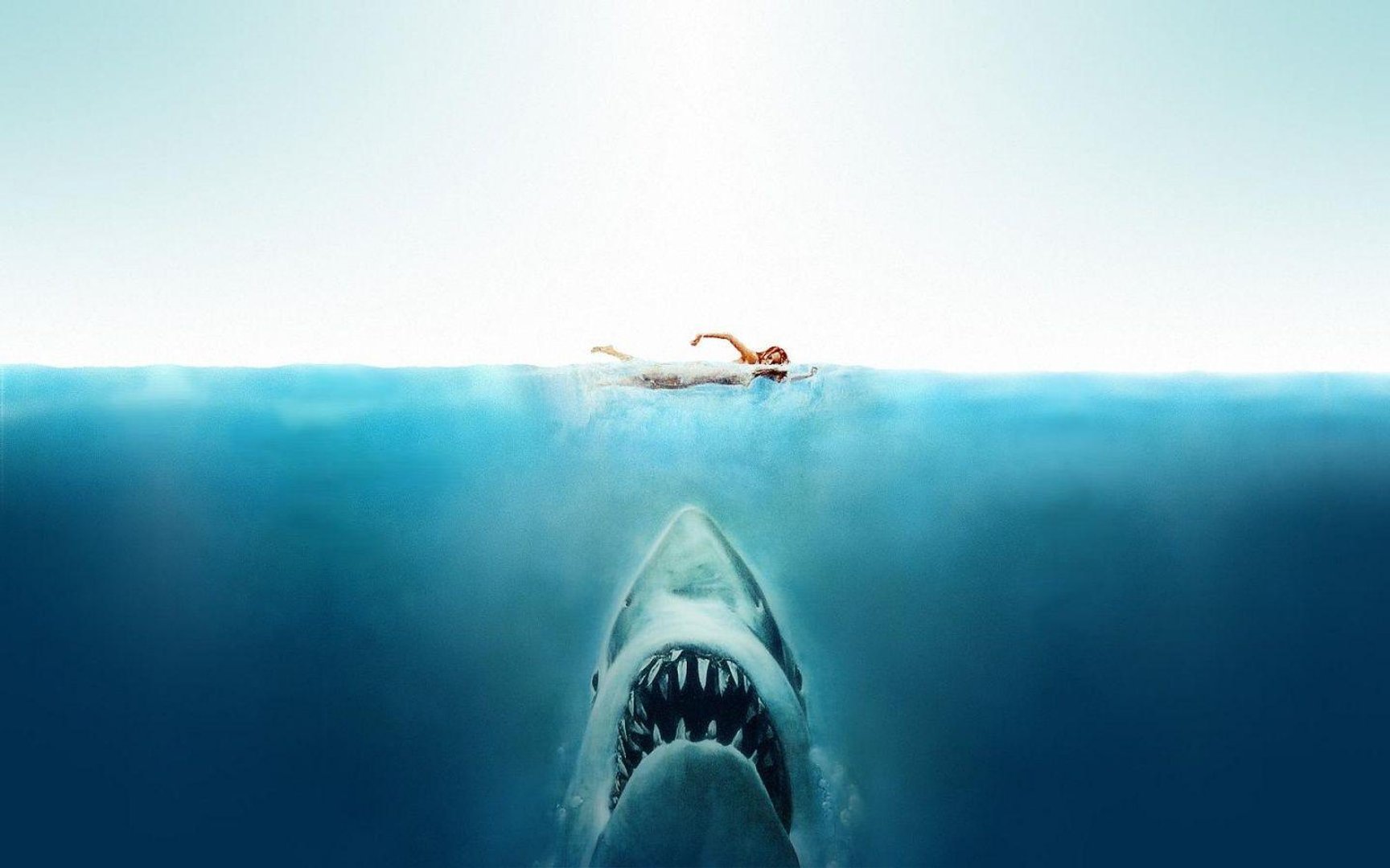 Jaws Images.jpg