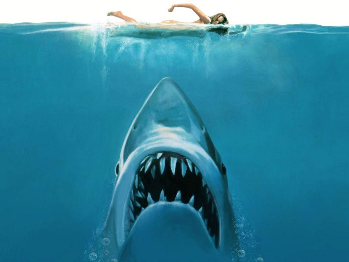 Jaws Pictures.jpg