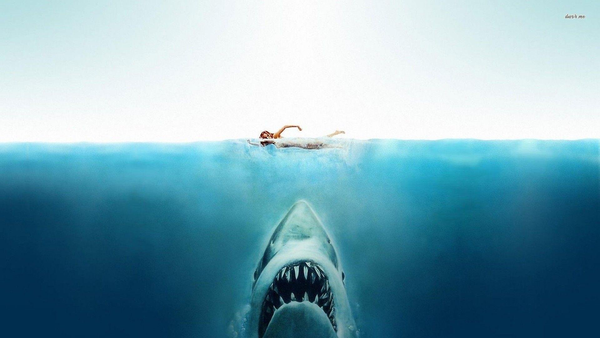 Jaws Background.jpg