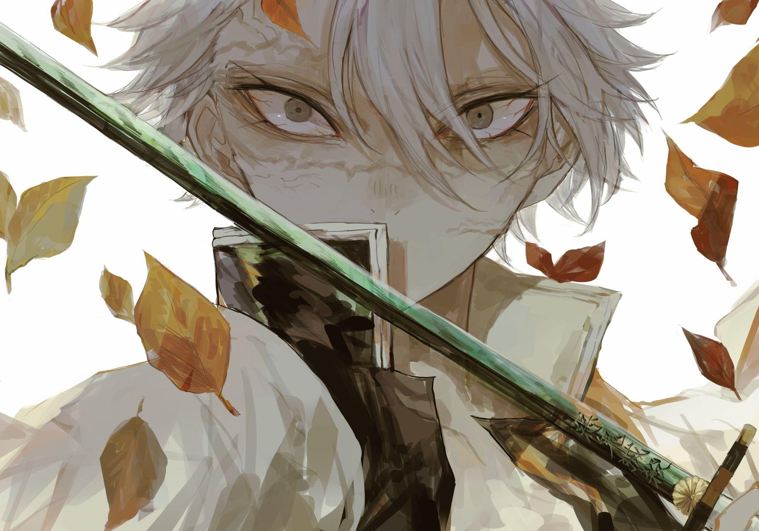 Sanemi Shinazugawa Pictures.jpg