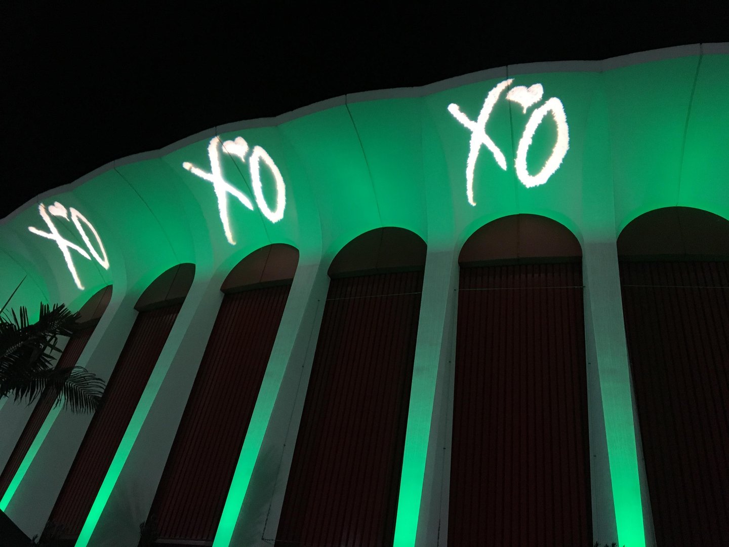Xo Background.jpg