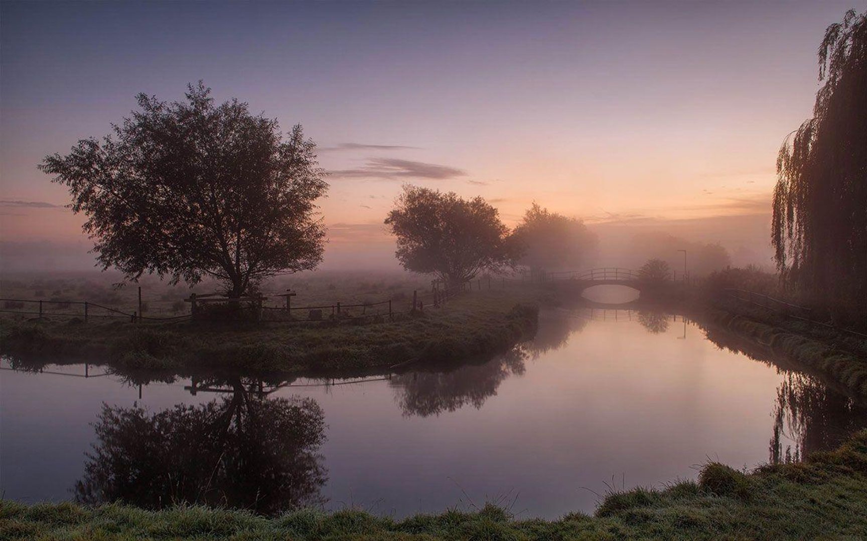 Aesthetic Nature Images.jpg