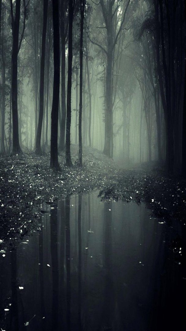 Aesthetic Nature Pictures.jpg