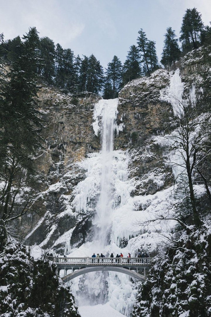 Aesthetic Nature Wallpaper.jpg