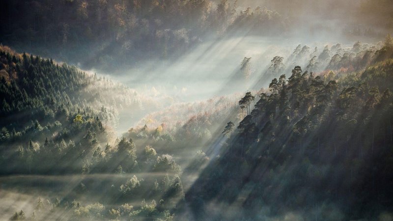 Aesthetic Nature