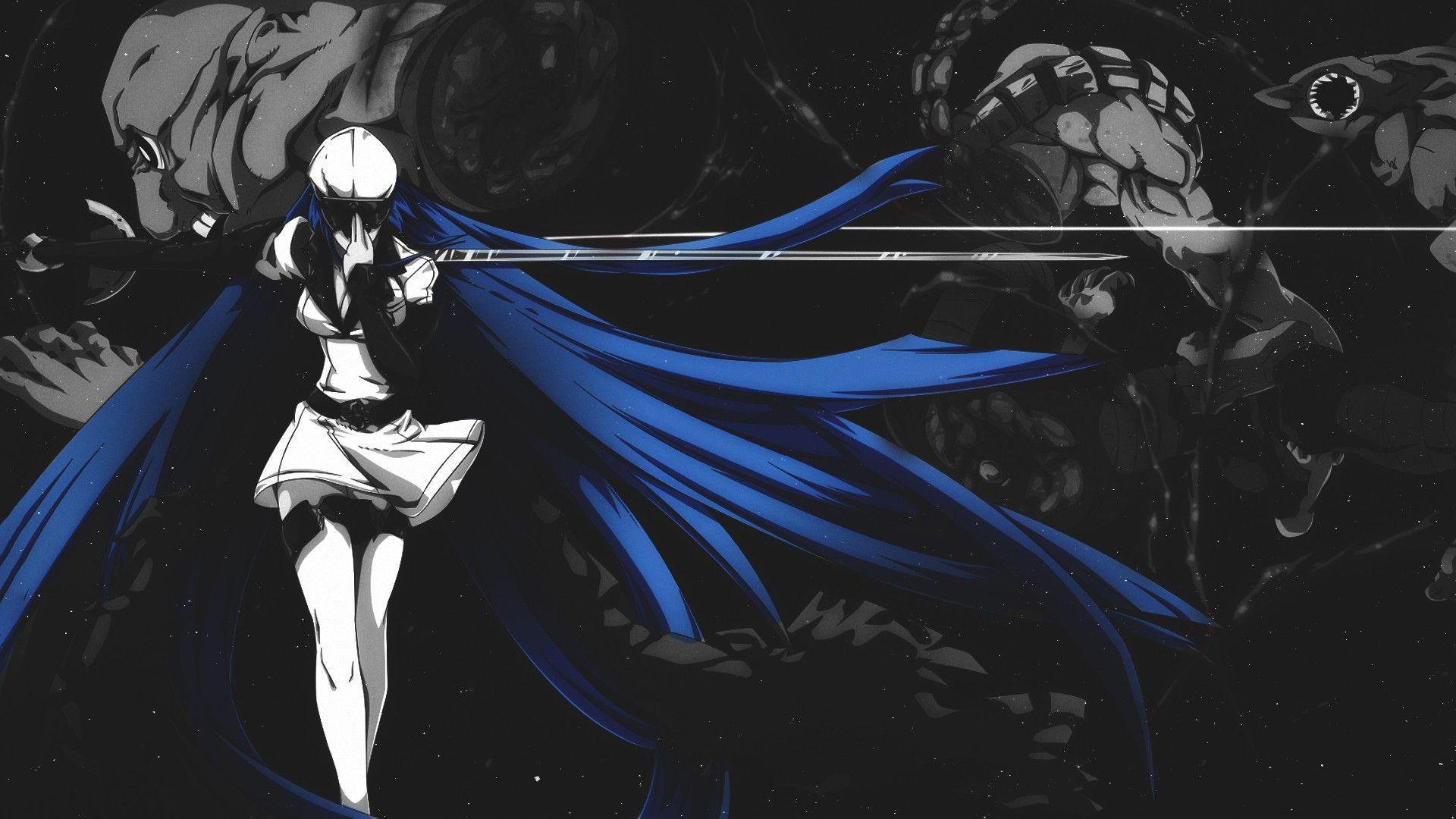 Esdeath Wallpapers.jpg