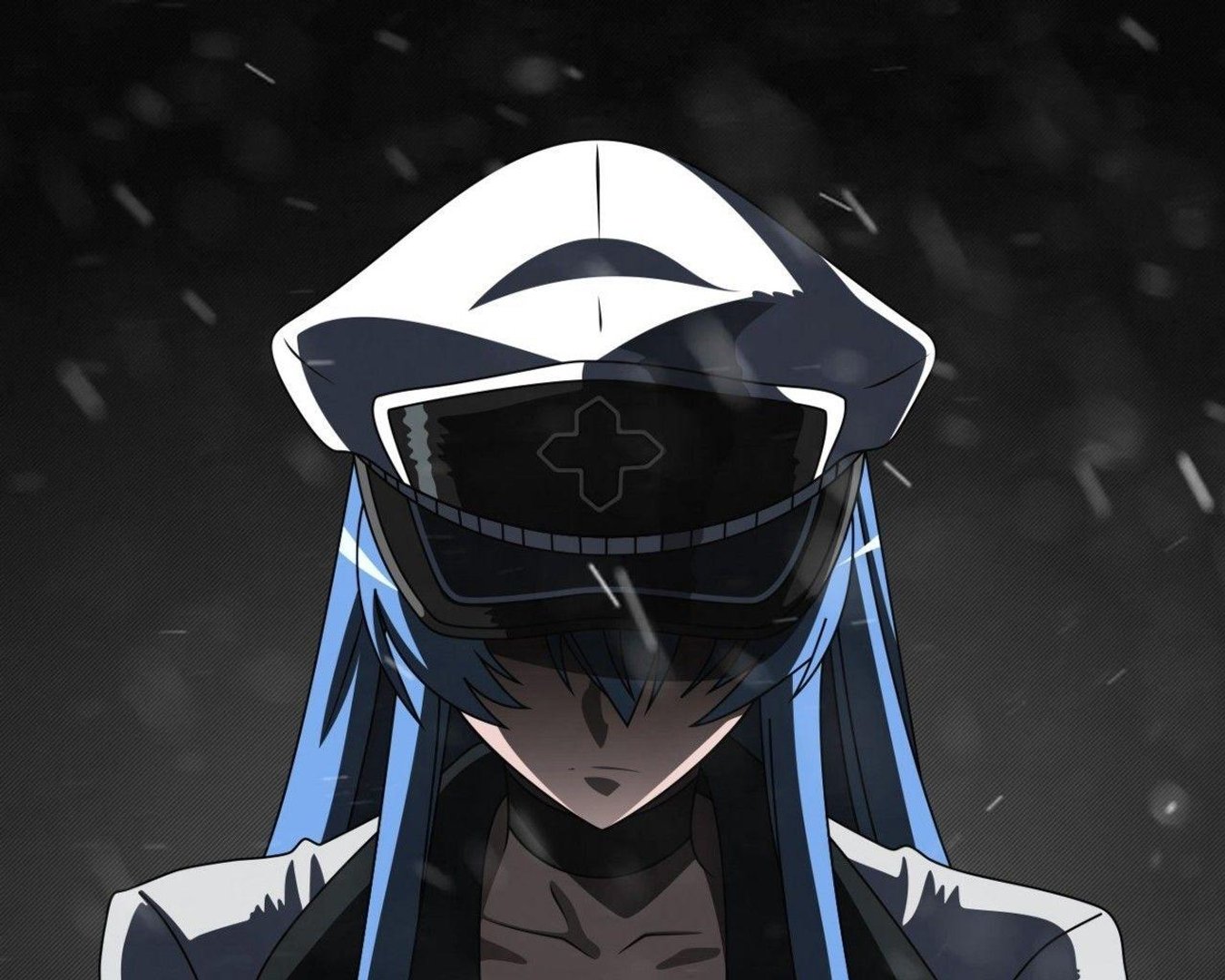 Esdeath Wallpaper.jpg