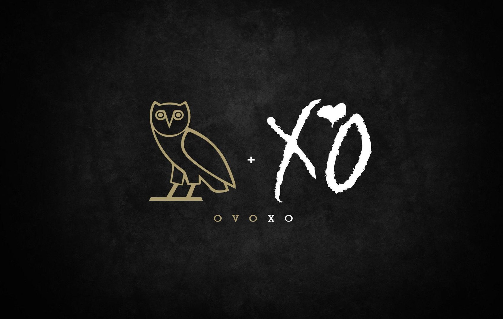 The Weeknd Xo Pictures.jpg