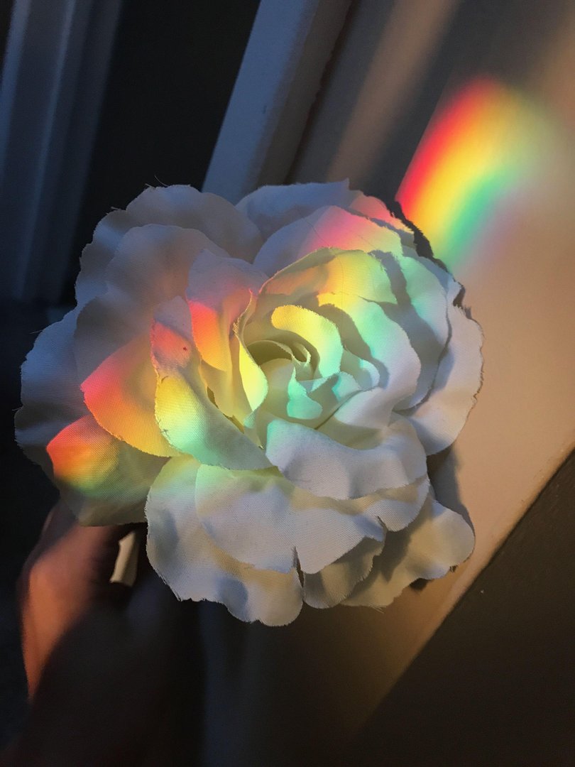Rainbow Aesthetic Background.jpg