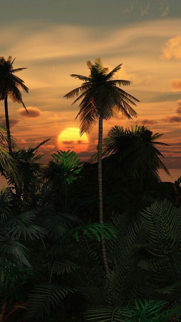 Tropical iPhone Images.jpg
