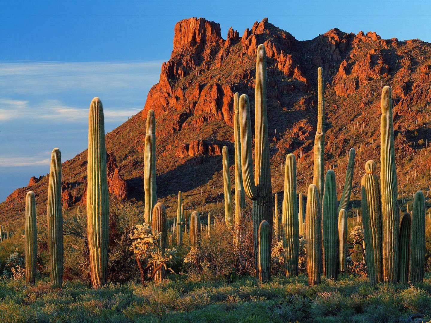 Arizona Pictures.jpg