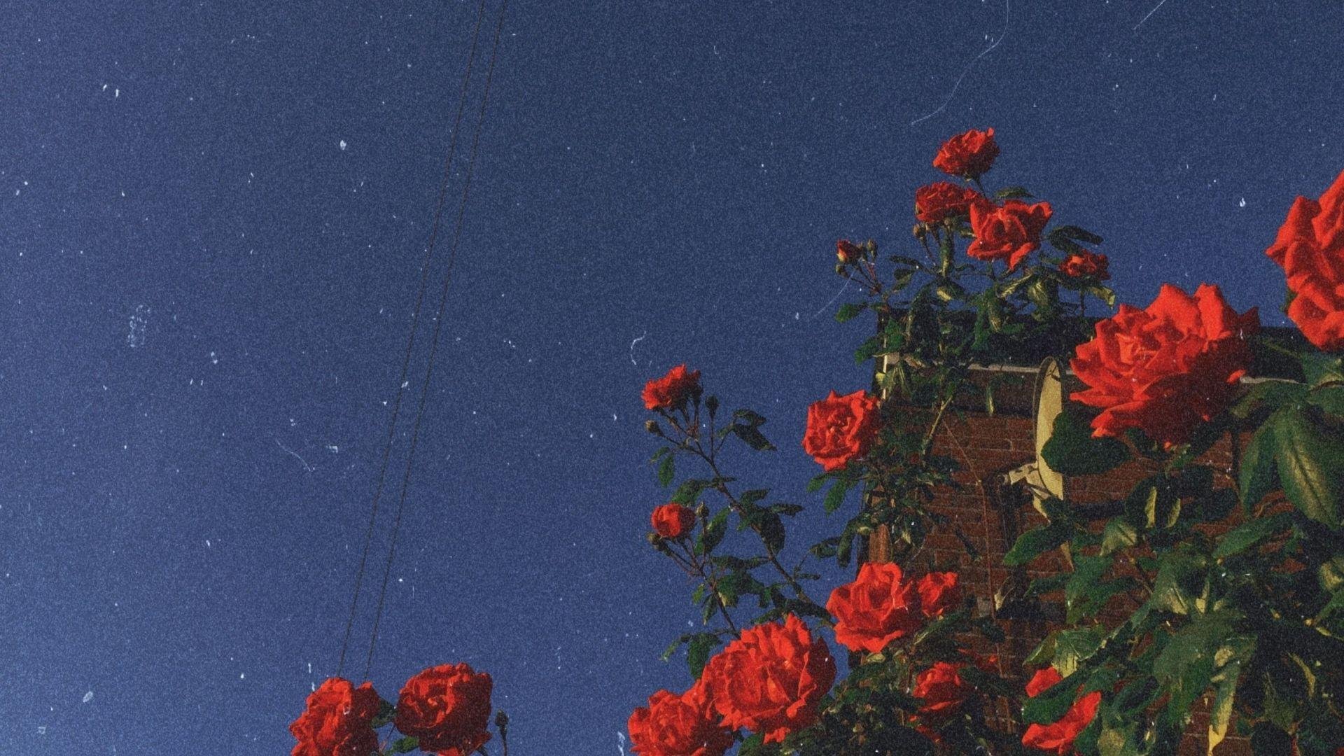 Vintage Aesthetic Laptop Images.jpg