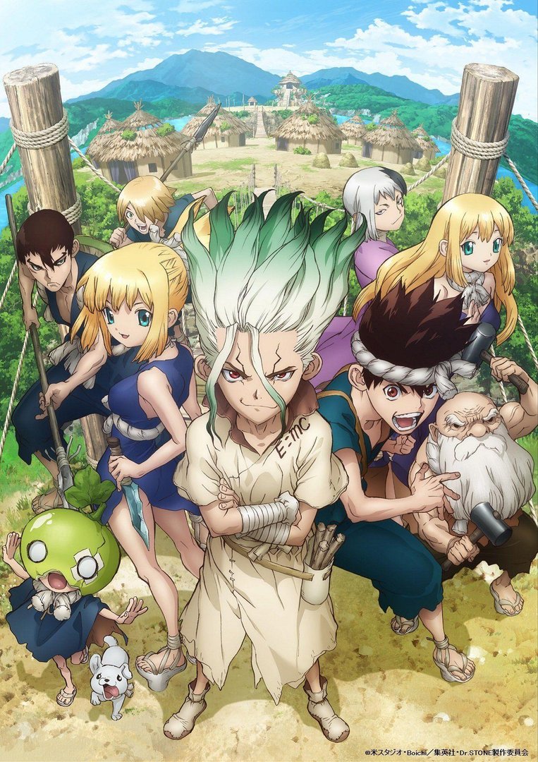 Dr. Stone Pictures.jpg
