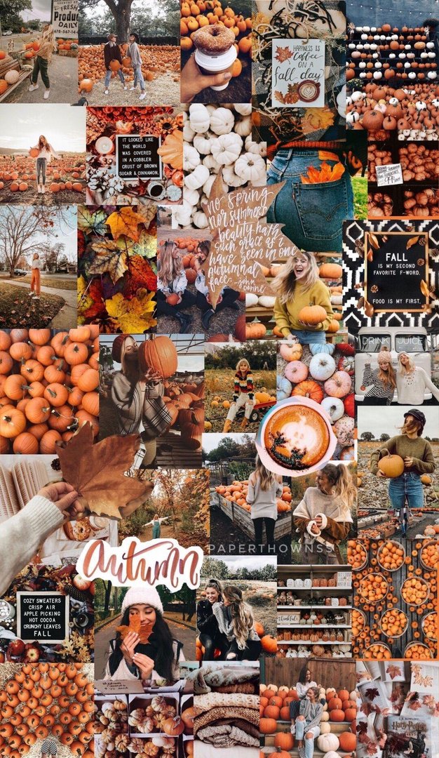 Fall Collage Background.jpg