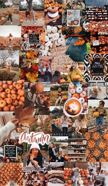 Fall Collage