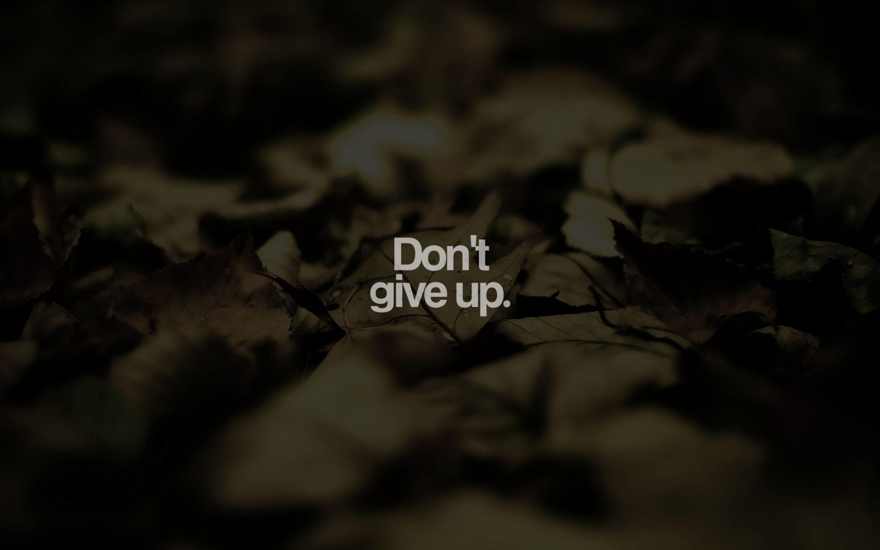 Don't Give Up Pictures.jpg