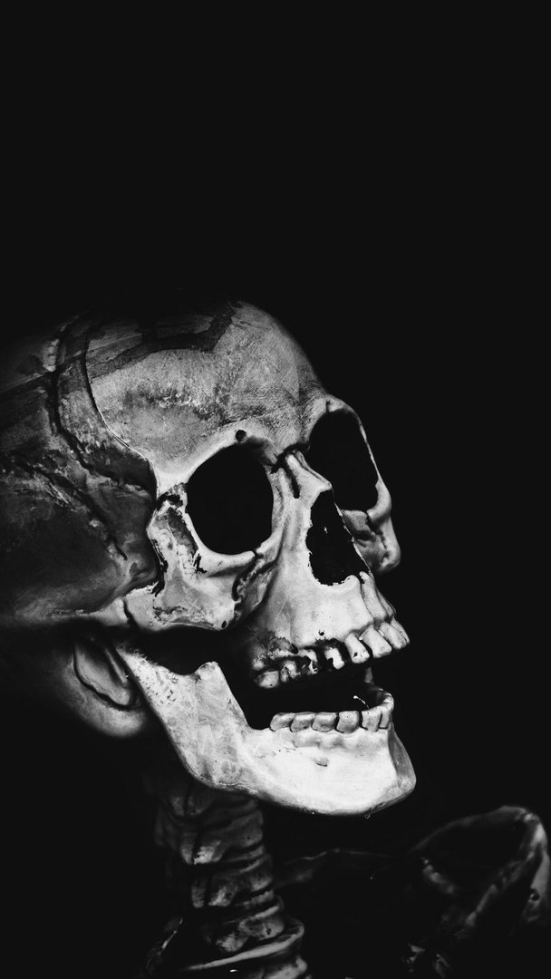 Skull Phone Background.jpg
