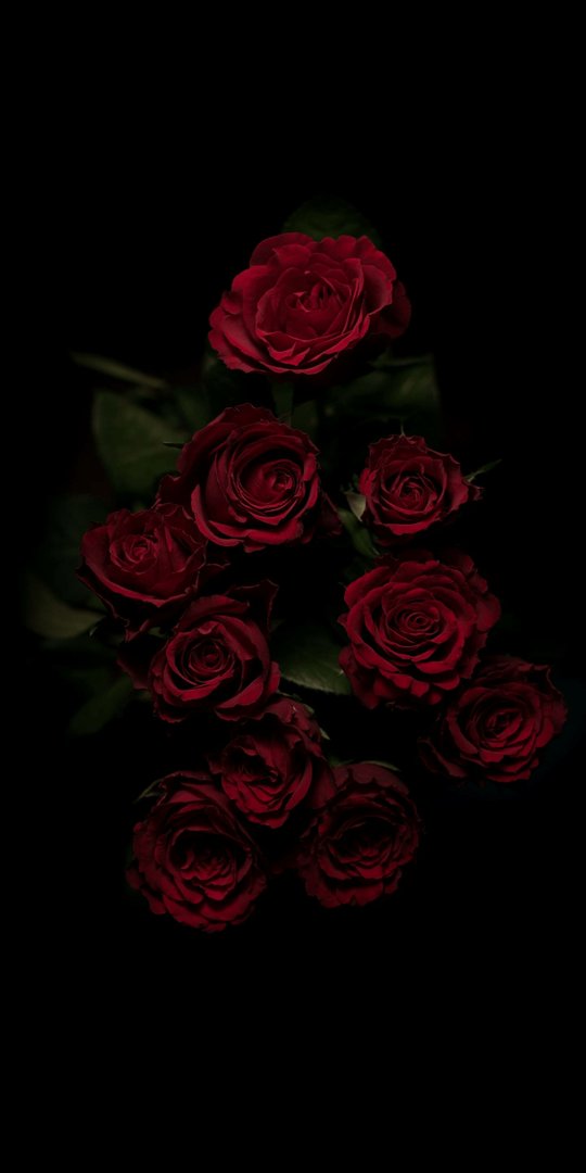 Black Rose Aesthetic Images.png