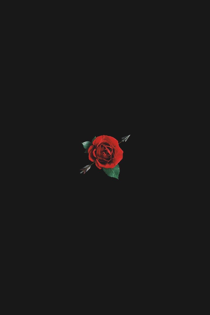 Black Rose Aesthetic Wallpaper.jpg