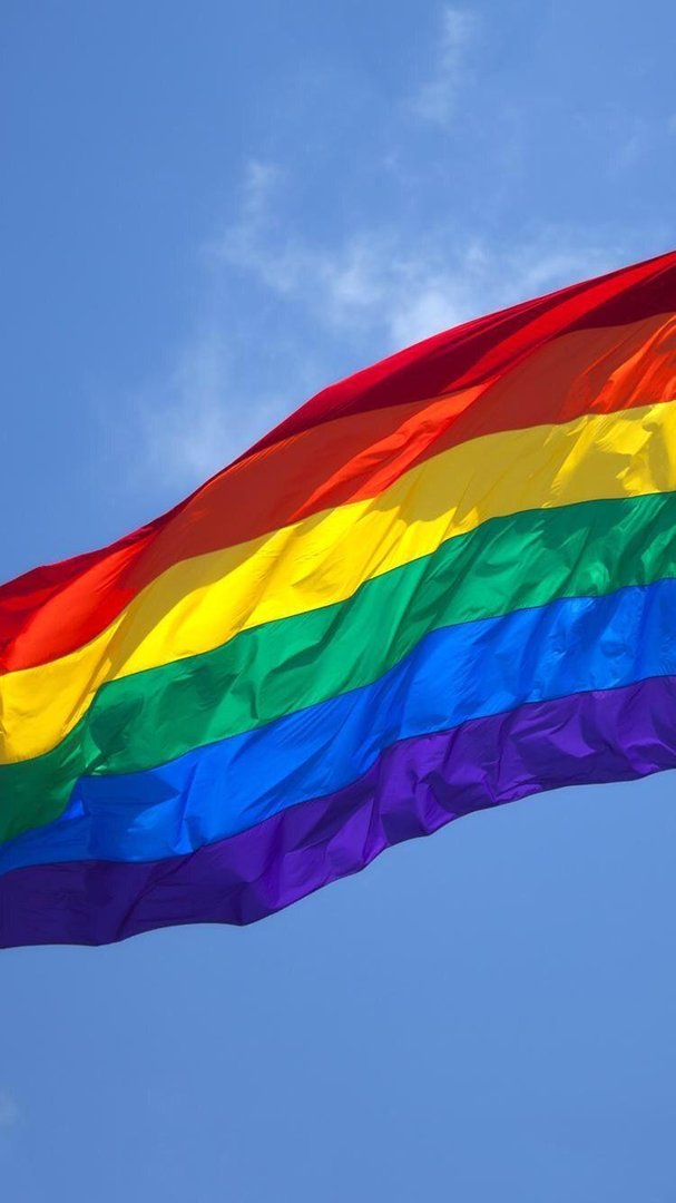 LGBT Flag Background.jpg