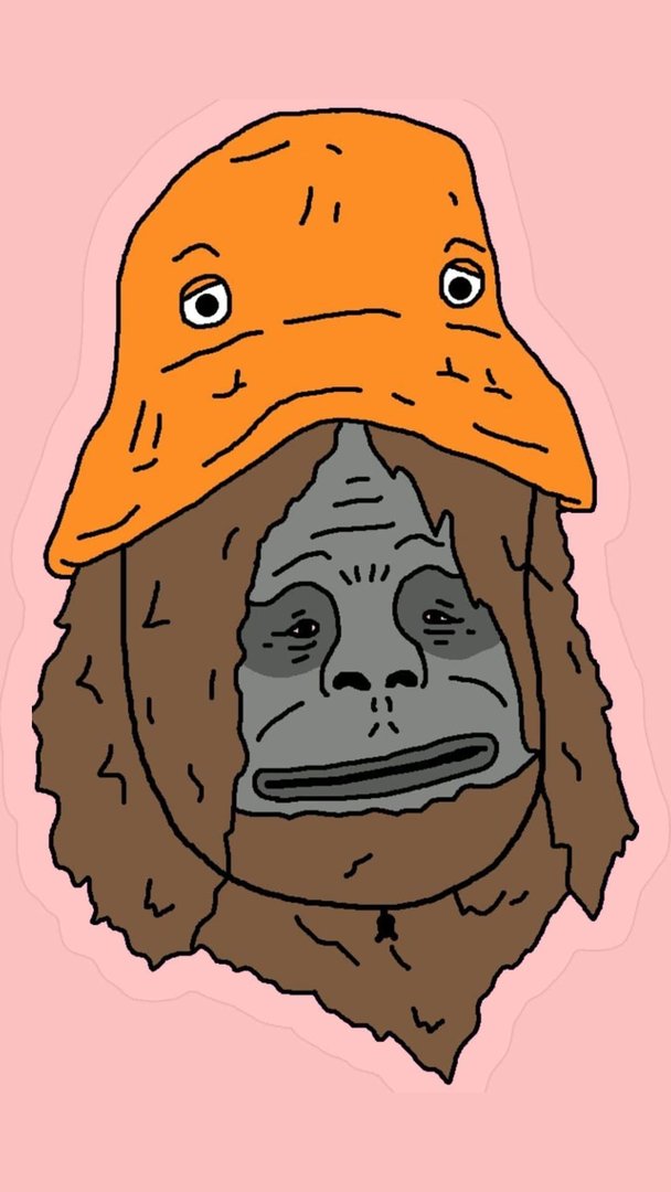 Sassy the Sasquatch Pictures.jpg