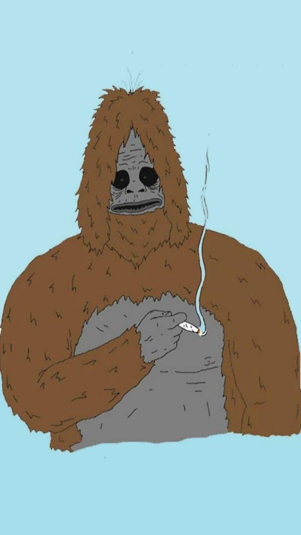 Sassy the Sasquatch Background.jpg