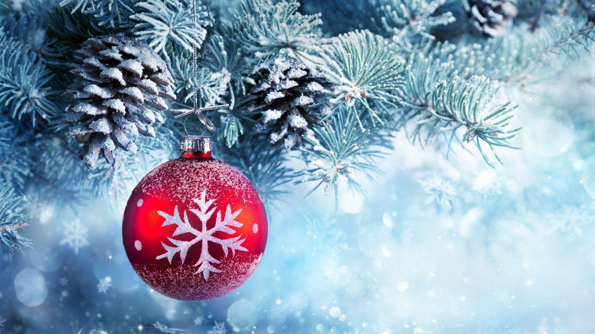 Winter Christmas Pictures.jpg